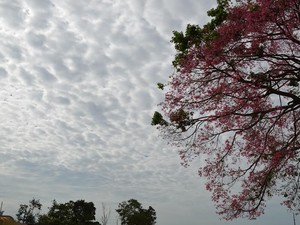 Nuvens devem aparecer durante a tarde desta  segunda, 21 (Foto: Eliete Marques/G1)