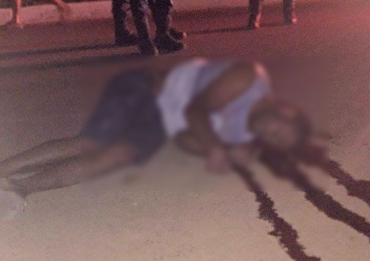 12087336_697346907066570_1628533940_n