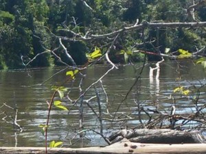 local_onde_o_corpo_foi_encontrado